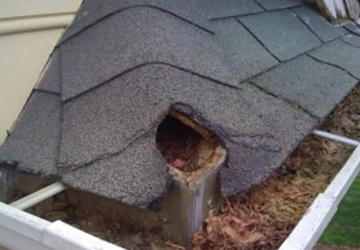 Attic decontamination