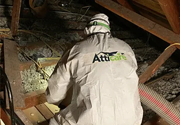 Attic cleaning 